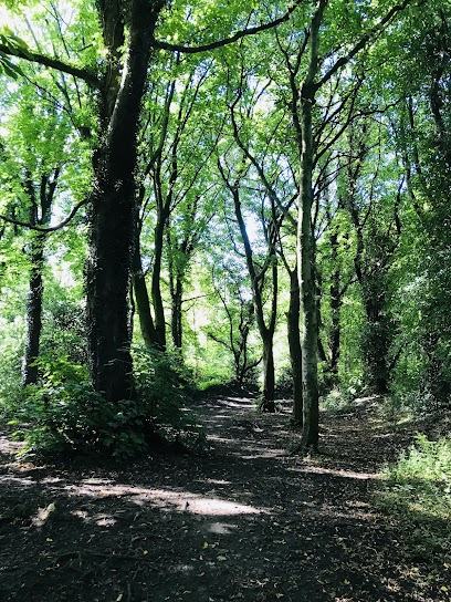 Prestwich Clough